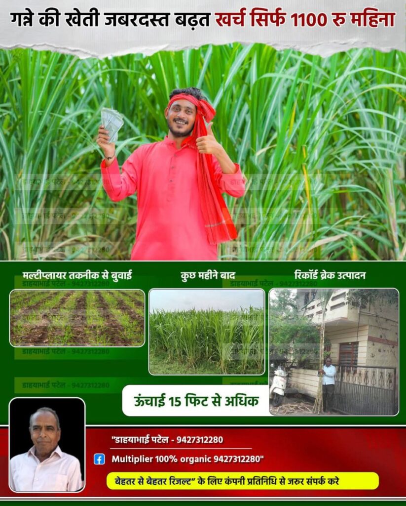 वज़न नहीं, असर देखो — 1 किलो मल्टीप्लायर ही चुनो! अब भारी-भरकम गोबर ढोने की ज़रूरत नहीं ❌ 1 ट्रॉली गोबर खाद के बराबर ताकत — सिर्फ 1 किलो मल्टीप्लायर में! 🌱 सिर्फ 1 किलो मल्टीप्लायर = 1 एकड़ खेत के लिए पर्याप्त ✔️ कम मेहनत ✔️ कम खर्च ✔️ ज़्यादा असर मिट्टी की सेहत बेहतर होती है, फसल की बढ़वार तेज होती है और उत्पादन मिलता है शानदार 💪🌾 👉 यही है समझदारी वाली खेती का नया रास्ता मल्टीप्लायर तकनीक — कम में ज़्यादा पाने की ताकत! 🚜✨ . . . .#मल्टीप्लायर #किसान #गेहूं #तरबूज #फूल #चना #कपास #मक्का #टमाटर #आलू #ऑर्गेनिक #गन्ना #प्याज #organic #farmers #अंगूर #grapes #multiplier #soil #मिट्टी #रासायनिक #केमिकल #farming #केला #सब्जियां