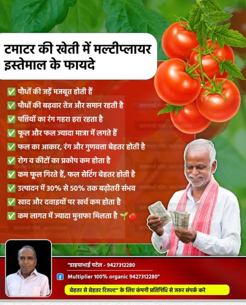 Tomato Crop With Multiplier (2)